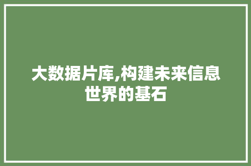 大数据片库,构建未来信息世界的基石