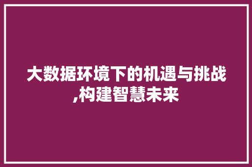 大数据环境下的机遇与挑战,构建智慧未来