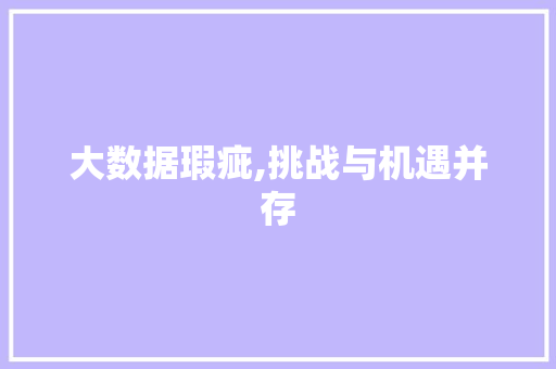 大数据瑕疵,挑战与机遇并存