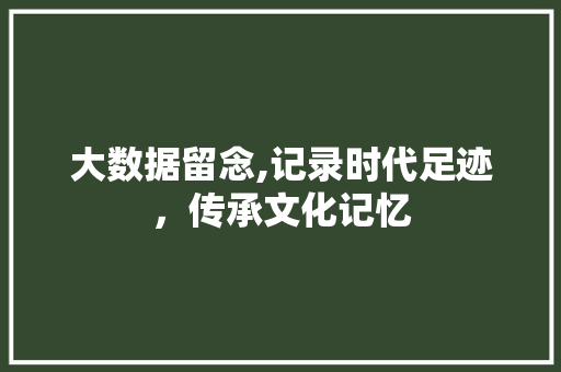 大数据留念,记录时代足迹，传承文化记忆