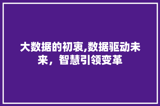 大数据的初衷,数据驱动未来，智慧引领变革
