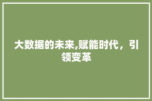 大数据的未来,赋能时代，引领变革