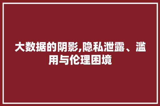 大数据的阴影,隐私泄露、滥用与伦理困境