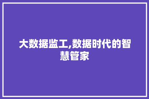 大数据监工,数据时代的智慧管家