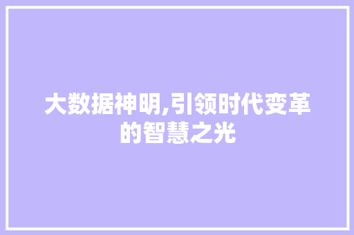 大数据神明,引领时代变革的智慧之光