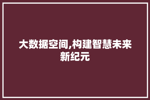 大数据空间,构建智慧未来新纪元