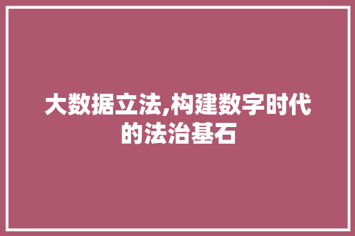 大数据立法,构建数字时代的法治基石