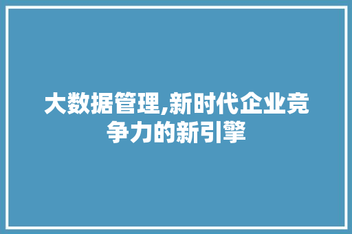 大数据管理,新时代企业竞争力的新引擎