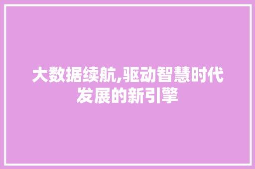 大数据续航,驱动智慧时代发展的新引擎