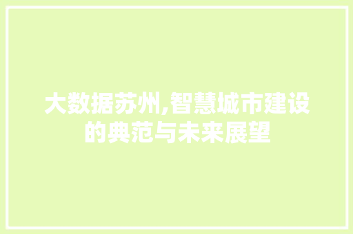 大数据苏州,智慧城市建设的典范与未来展望