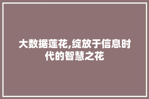大数据莲花,绽放于信息时代的智慧之花