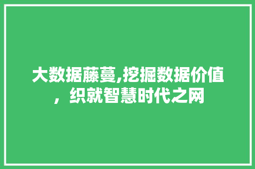 大数据藤蔓,挖掘数据价值，织就智慧时代之网