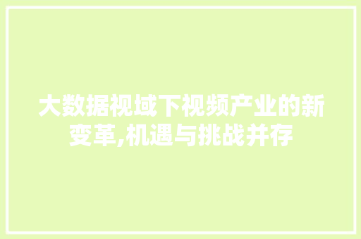 大数据视域下视频产业的新变革,机遇与挑战并存