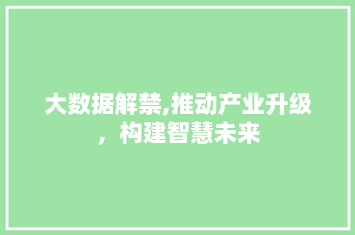 大数据解禁,推动产业升级，构建智慧未来