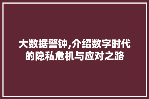大数据警钟,介绍数字时代的隐私危机与应对之路
