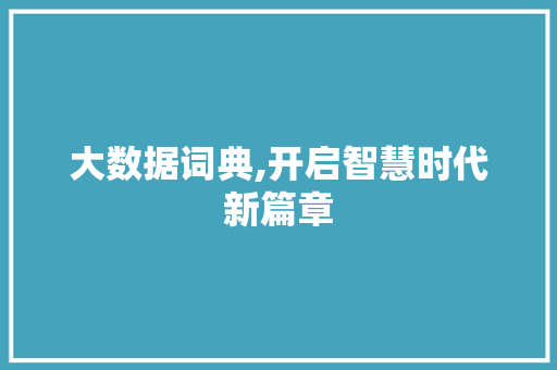 大数据词典,开启智慧时代新篇章