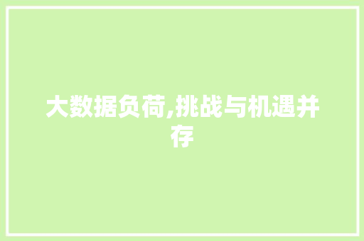 大数据负荷,挑战与机遇并存