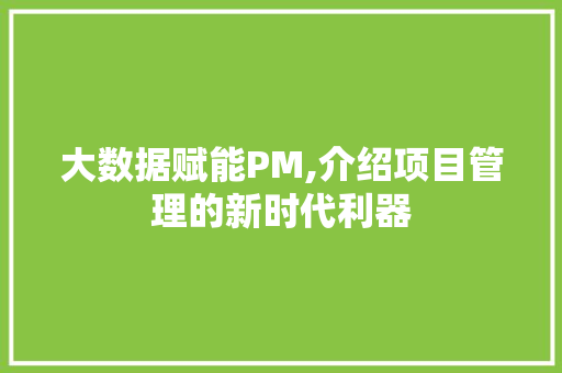 大数据赋能PM,介绍项目管理的新时代利器