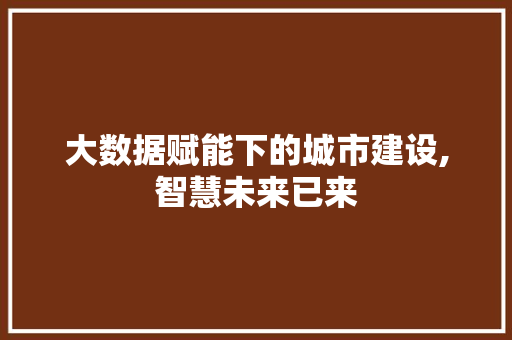 大数据赋能下的城市建设,智慧未来已来