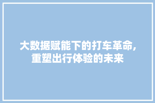 大数据赋能下的打车革命,重塑出行体验的未来