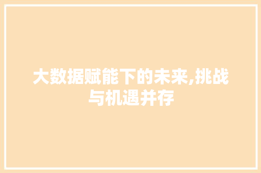 大数据赋能下的未来,挑战与机遇并存