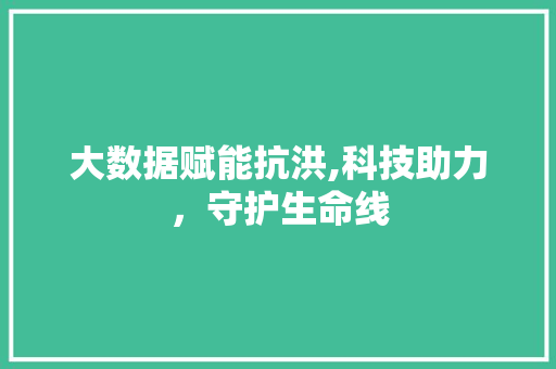 大数据赋能抗洪,科技助力，守护生命线