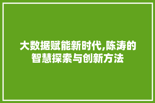 大数据赋能新时代,陈涛的智慧探索与创新方法