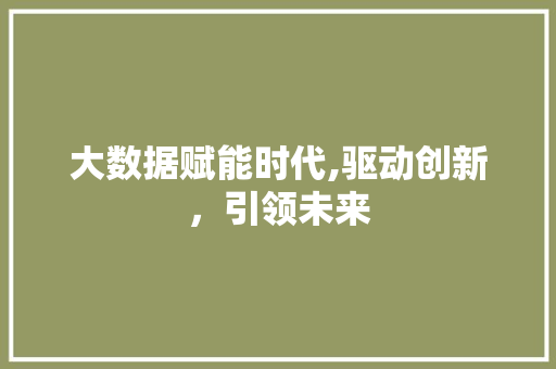 大数据赋能时代,驱动创新，引领未来