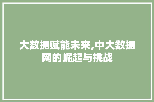 大数据赋能未来,中大数据网的崛起与挑战