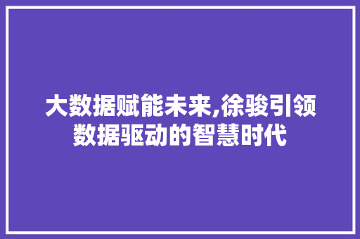 大数据赋能未来,徐骏引领数据驱动的智慧时代