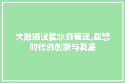大数据赋能水务管理,智慧时代的创新与发展