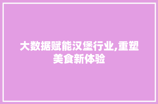 大数据赋能汉堡行业,重塑美食新体验