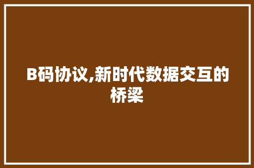 B码协议,新时代数据交互的桥梁