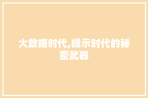 大数据时代,提示时代的秘密武器