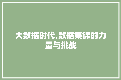 大数据时代,数据集锦的力量与挑战