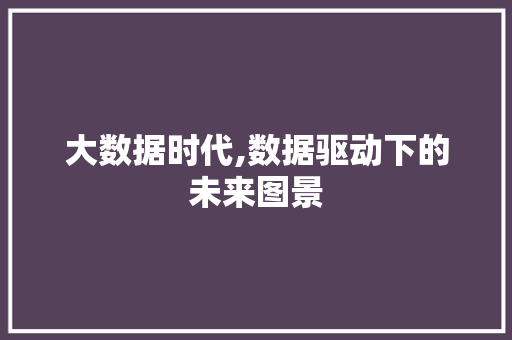大数据时代,数据驱动下的未来图景