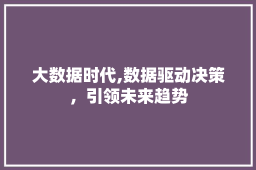 大数据时代,数据驱动决策，引领未来趋势