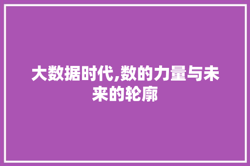 大数据时代,数的力量与未来的轮廓