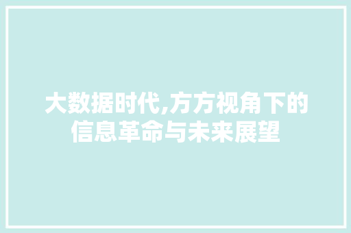 大数据时代,方方视角下的信息革命与未来展望