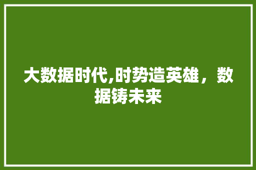 大数据时代,时势造英雄，数据铸未来