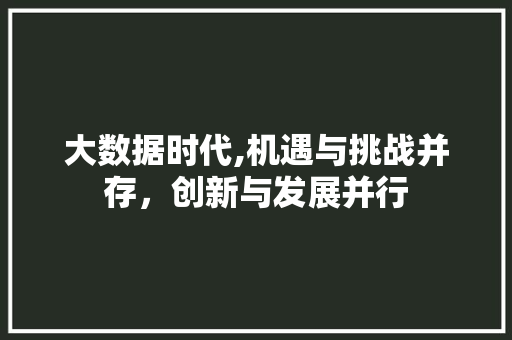 大数据时代,机遇与挑战并存，创新与发展并行