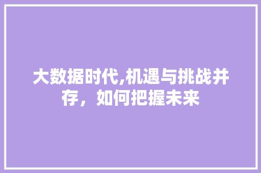 大数据时代,机遇与挑战并存，如何把握未来