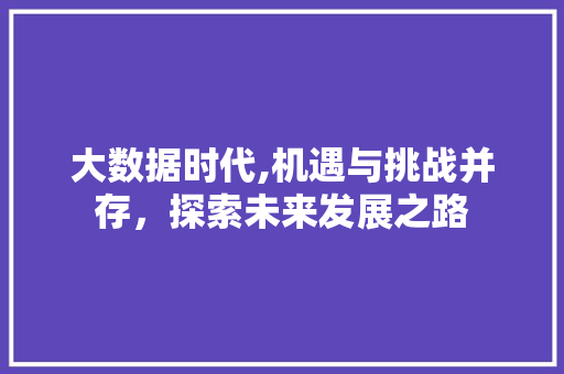 大数据时代,机遇与挑战并存，探索未来发展之路