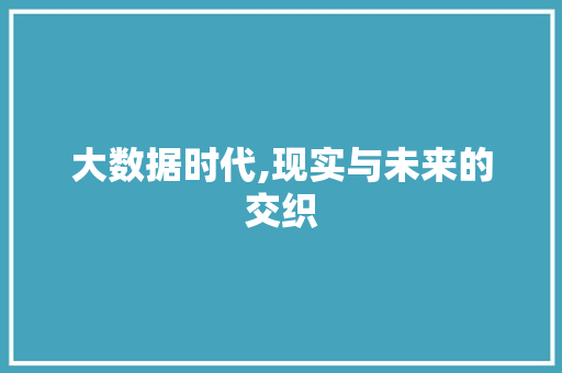 大数据时代,现实与未来的交织