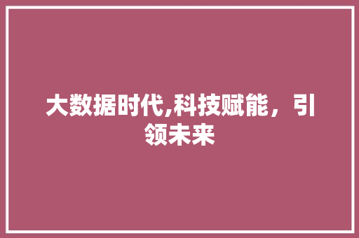 大数据时代,科技赋能，引领未来