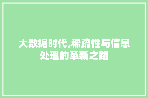 大数据时代,稀疏性与信息处理的革新之路
