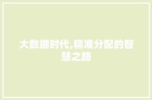 大数据时代,精准分配的智慧之路