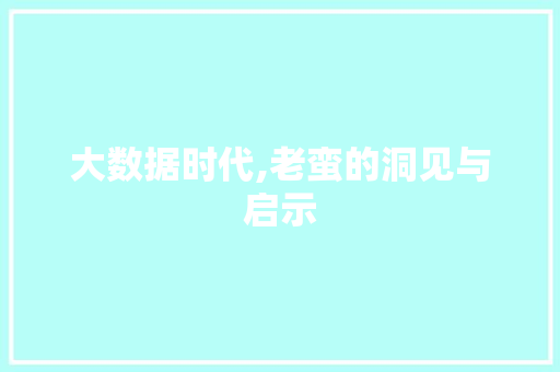 大数据时代,老蛮的洞见与启示