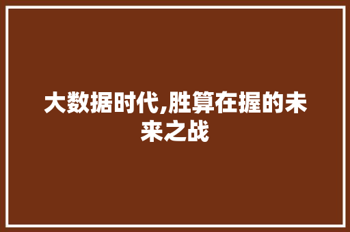 大数据时代,胜算在握的未来之战