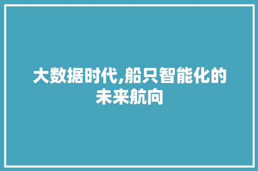 大数据时代,船只智能化的未来航向